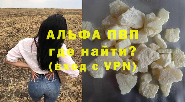 PSILOCYBIN Балабаново