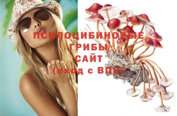 синтетический гашиш Балахна
