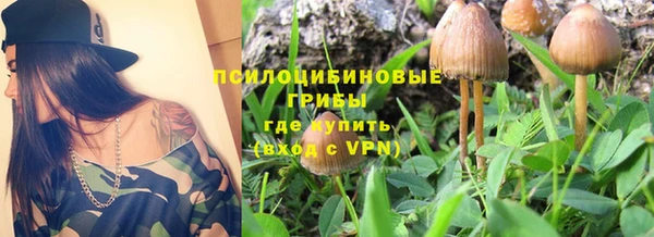 PSILOCYBIN Балабаново