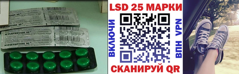 ссылка на мегу сайт купить Суворов Лсд 25 экстази ecstasy