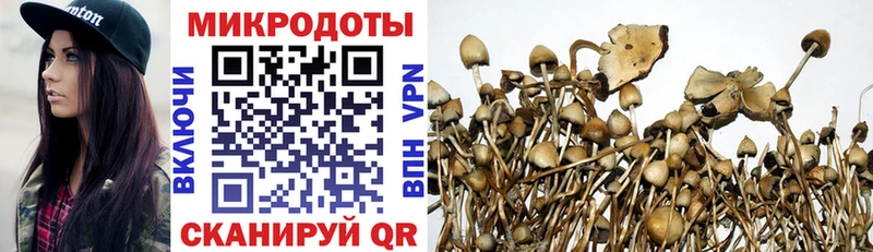 Галлюциногенные грибы Psilocybe  где продают наркотики  Суворов 